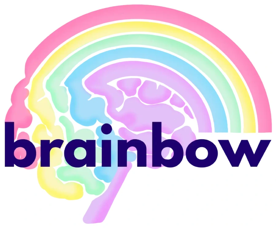 Brainbow — a rainbow-brain logo wordmark