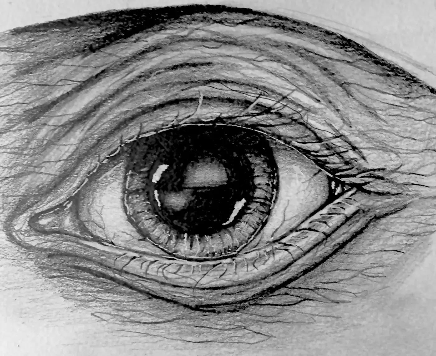 Detailed graphite eye study
